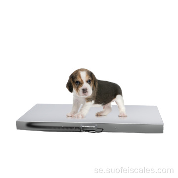 SF-809 Tung plattform 500 kg Animal Weading Scales